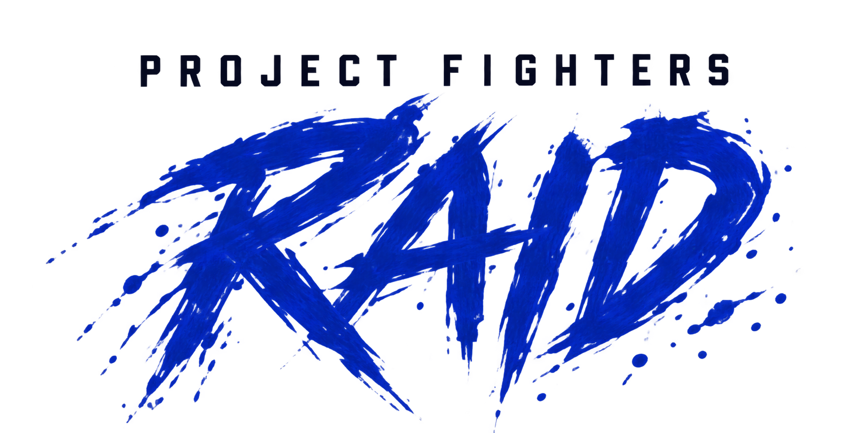 Project Fighters RAID